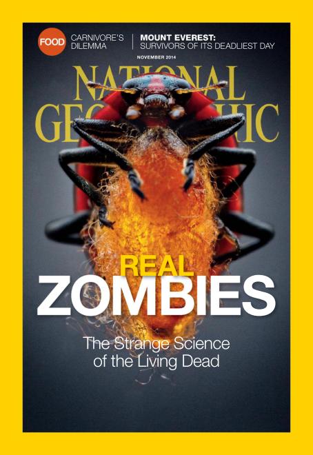 National-Geographic November 01, 2014 Issue Cover