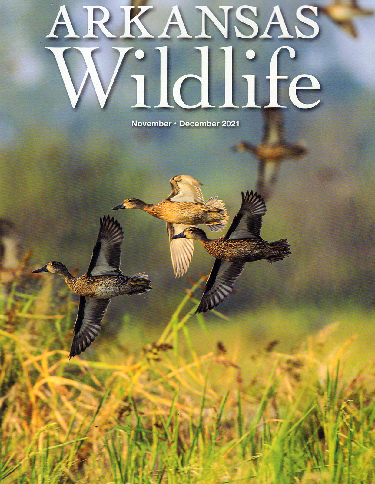 Arkansas-Wildlife November 01, 2021 Issue Cover