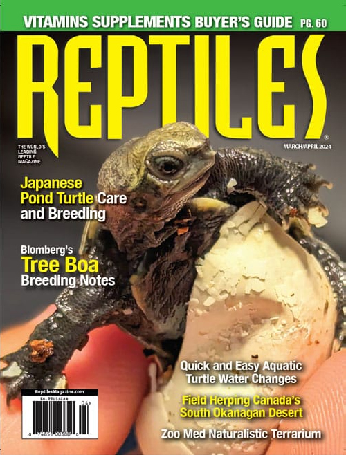 Reptiles March 01, 2024 Issue Cover