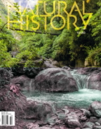 Natural-History October 01, 2020 Issue Cover