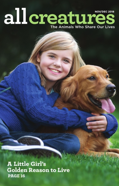 All Creatures November 01, 2018 Issue Cover