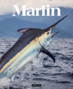 Marlin March 01, 2026 Issue Cover
