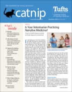 Catnip September 01, 2019 Issue Cover