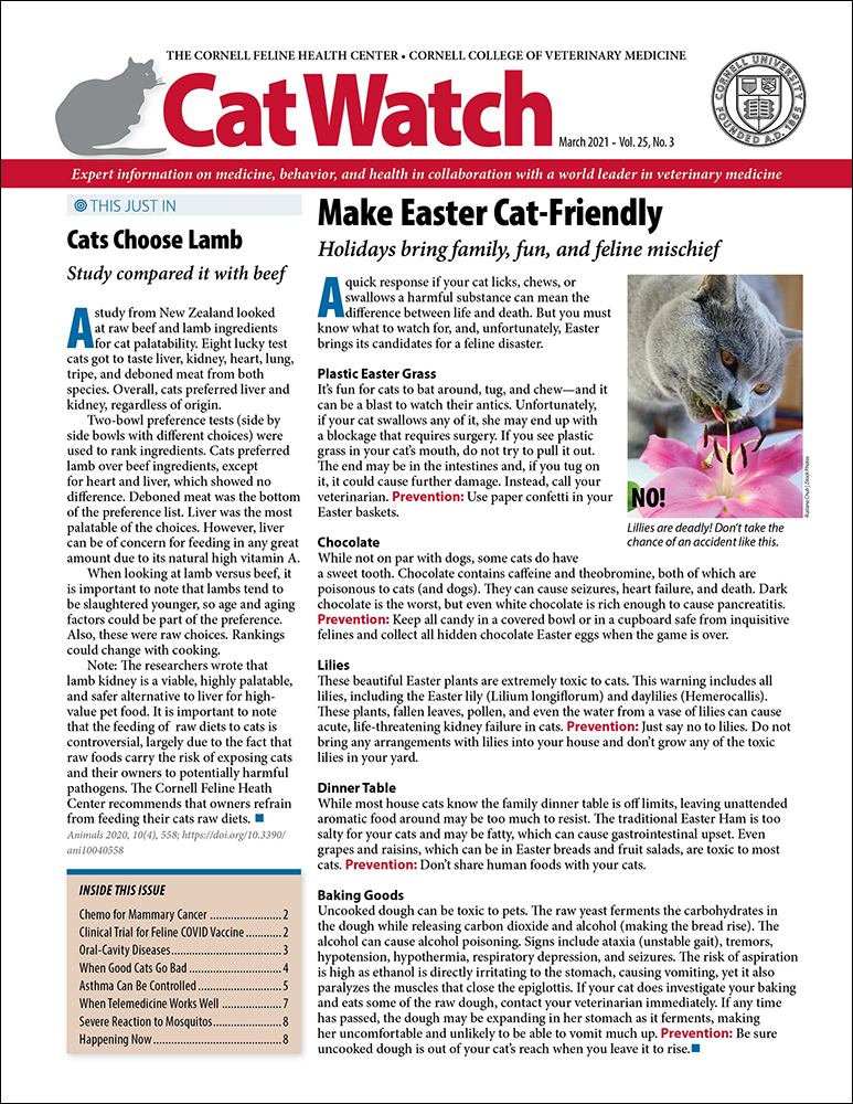 Catwatch March 01, 2021 Issue Cover