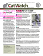 Catwatch March 01, 2021 Issue Cover