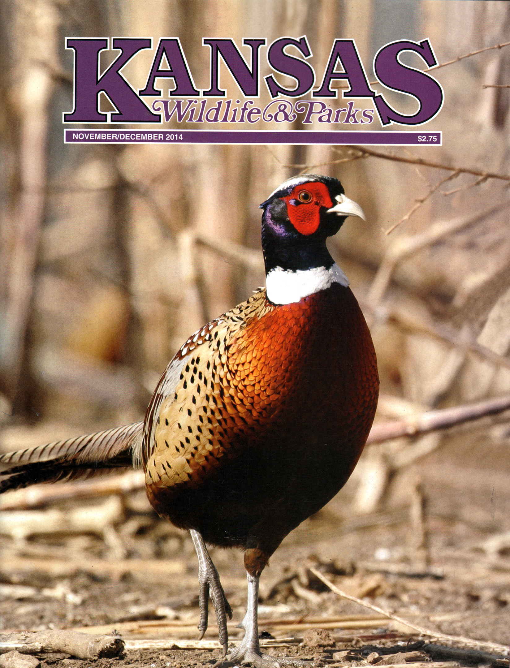 Kansas-Wildlife-and-Parks November 01, 2014 Issue Cover
