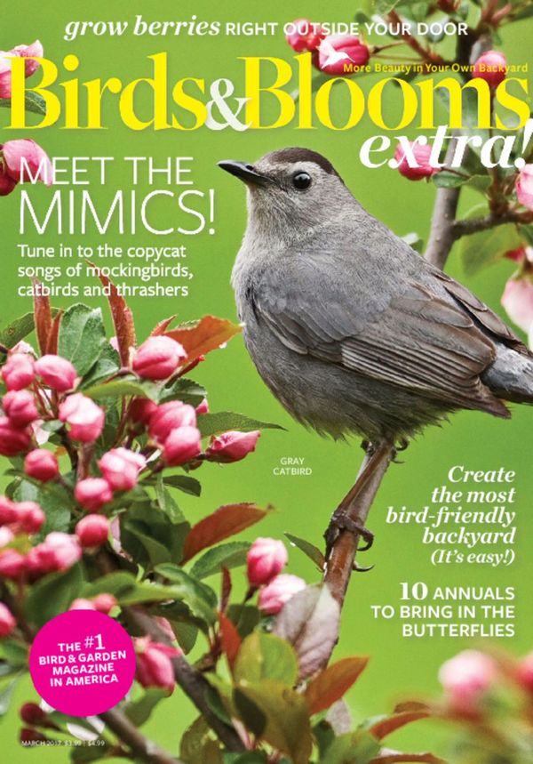 Birds-and-Blooms-Extra March 01, 2017 Issue Cover
