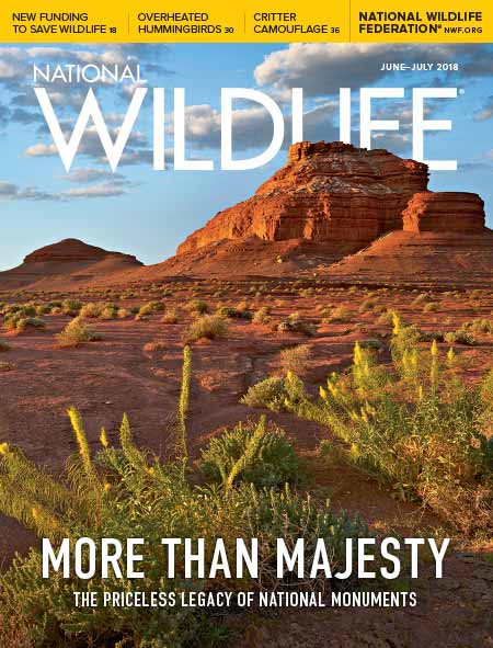 National-Wildlife June 01, 2018 Issue Cover