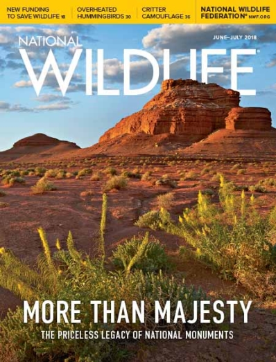 National Wildlife June 01, 2018 Issue Cover