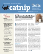 Catnip January 01, 2020 Issue Cover