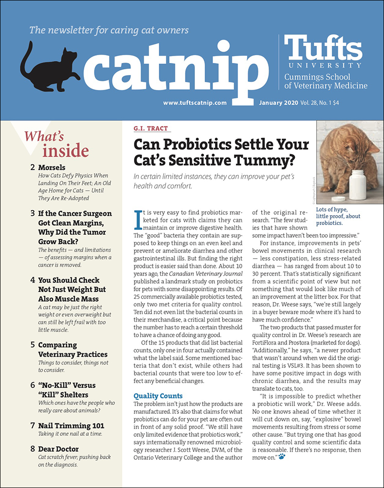 Catnip January 01, 2020 Issue Cover