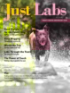 Just-Labs May 01, 2025 Issue Cover