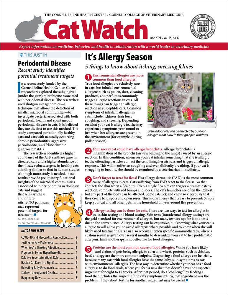 Catwatch June 01, 2021 Issue Cover