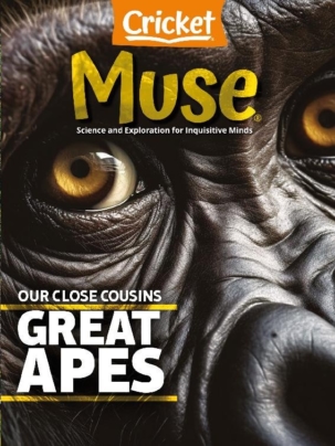 Muse Age 10 and Up Magazine Subscription