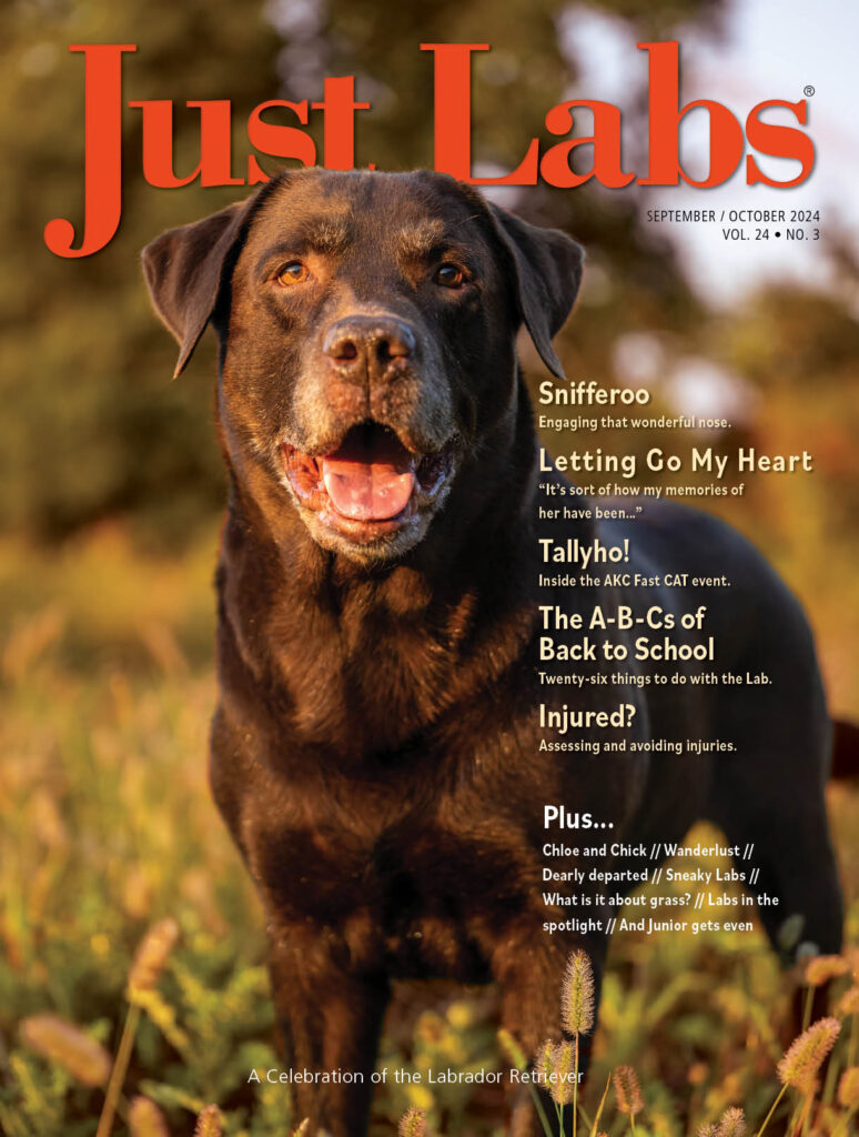 Just Labs September 01, 2024 Issue Cover