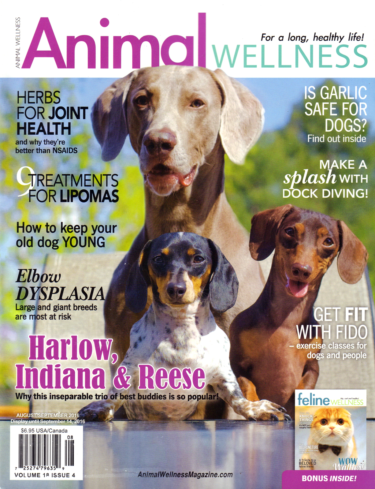 Animal-Wellness August 01, 2016 Issue Cover
