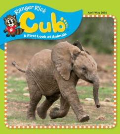 Ranger-Rick-Cub April 01, 2026 Issue Cover