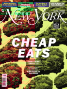 New-York-Magazine July 08, 2013 Issue Cover