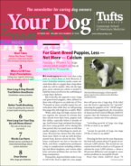 Your-Dog October 01, 2021 Issue Cover