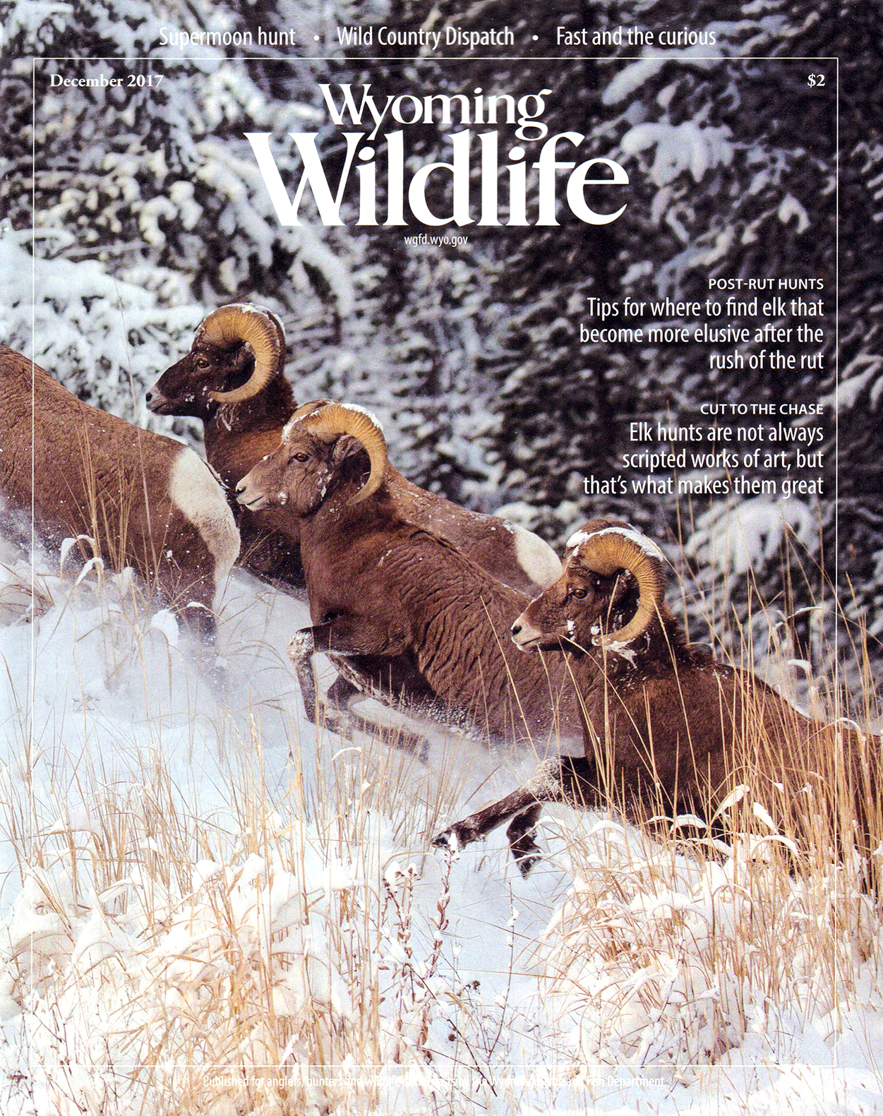 Wyoming-Wildlife November 01, 2017 Issue Cover