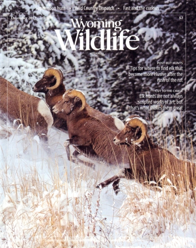Wyoming Wildlife November 01, 2017 Issue Cover