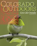 Colorado Outdoors May 01, 2025 Issue Cover
