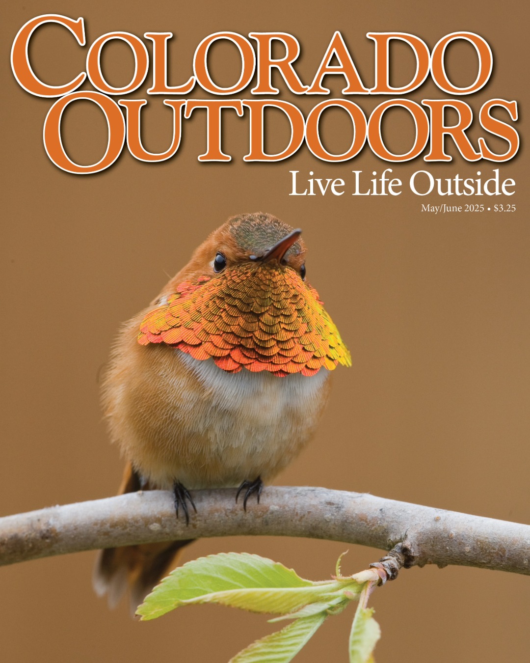 Colorado-Outdoors May 01, 2025 Issue Cover