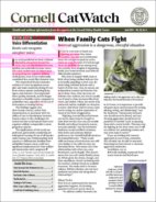 Catwatch June 01, 2024 Issue Cover