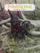 The-Pointing-Dog-Journal May 01, 2023 Issue Cover