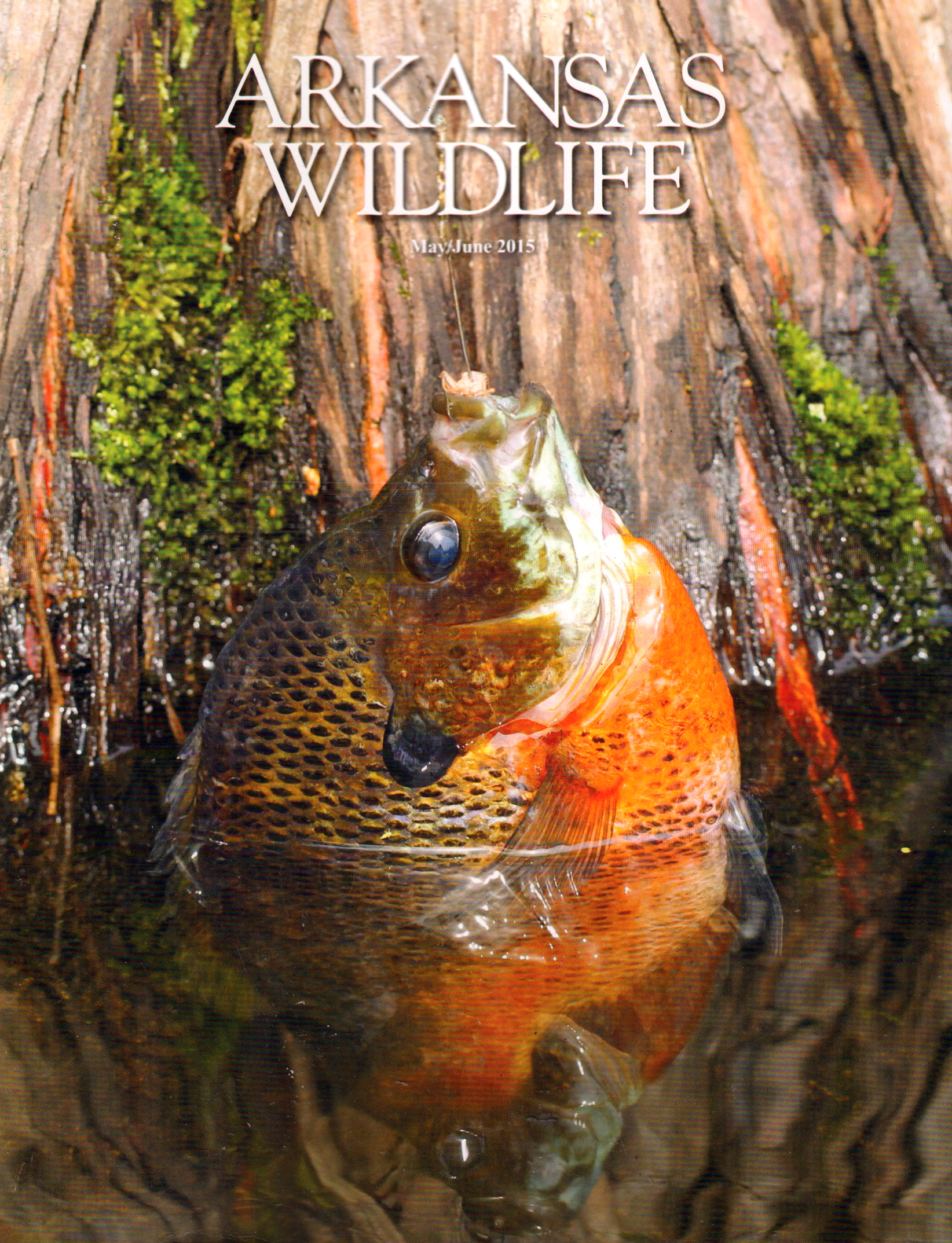Arkansas-Wildlife May 01, 2015 Issue Cover