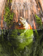 Arkansas-Wildlife May 01, 2015 Issue Cover