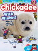 chickaDEE December 01, 2024 Issue Cover