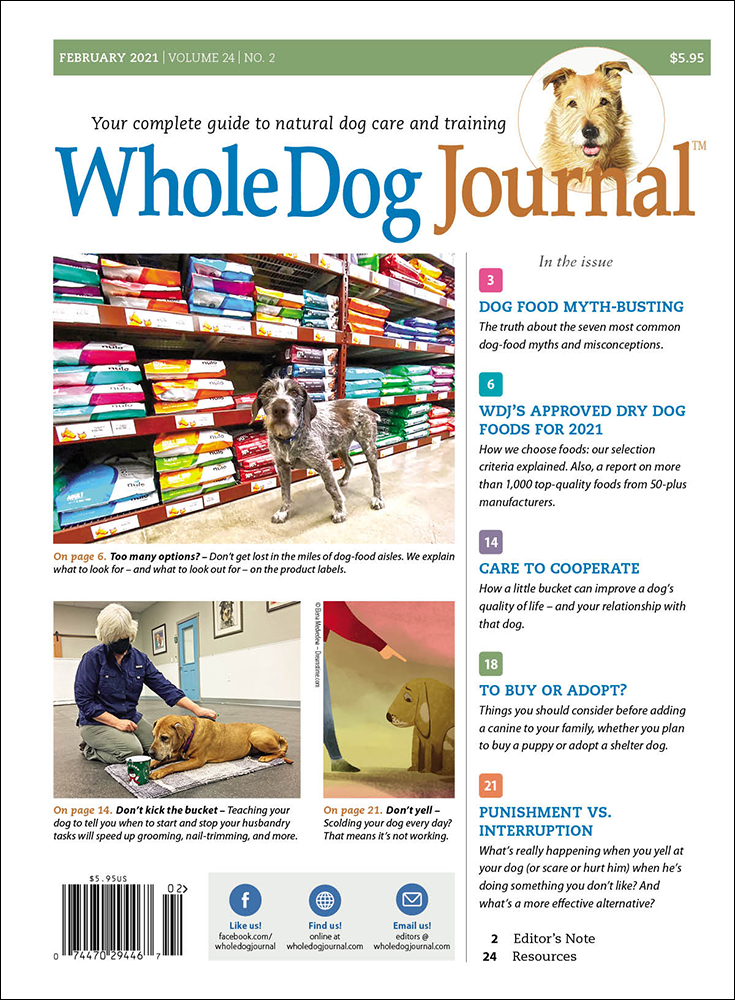 Whole-Dog-Journal February 01, 2021 Issue Cover