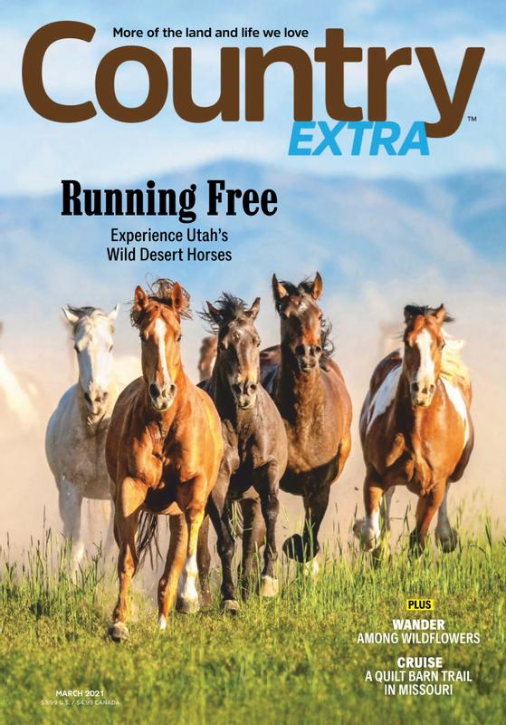 Country-Extra March 01, 2021 Issue Cover