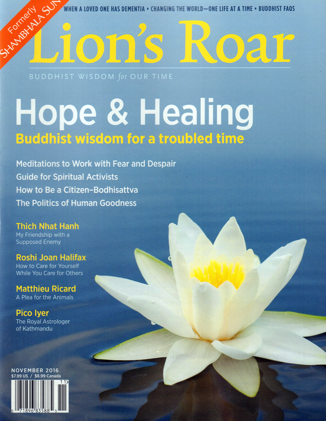 Lions-Roar November 01, 2016 Issue Cover