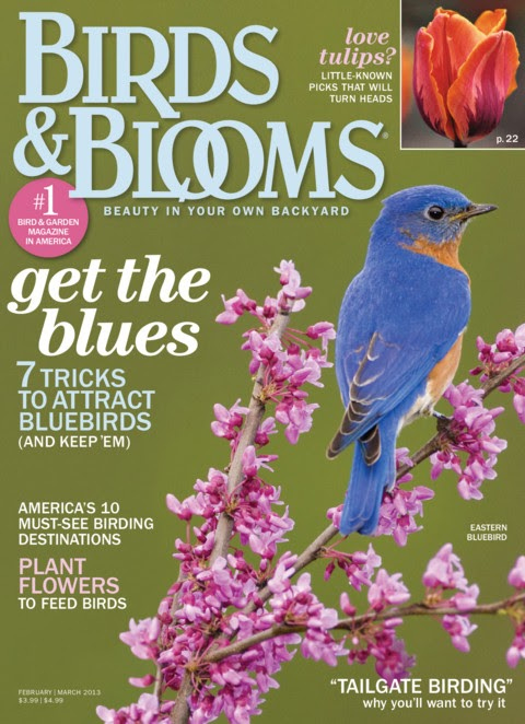 Birds-and-Blooms February 01, 2013 Issue Cover