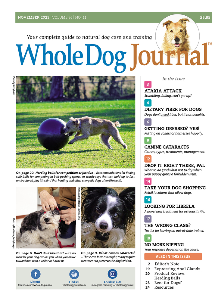 Metamucil For Dogs - Whole Dog Journal
