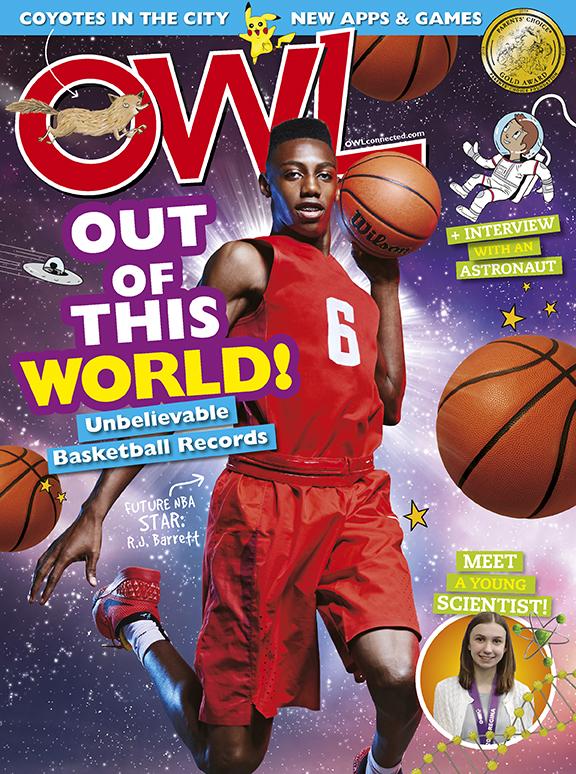 OWL November 01, 2018 Issue Cover