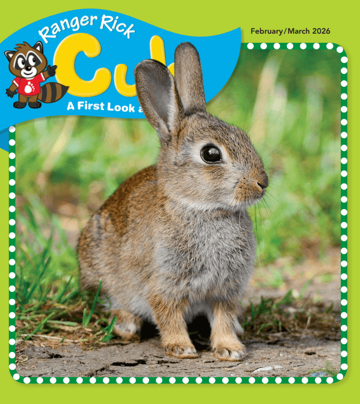 Ranger-Rick-Cub February 01, 2026 Issue Cover