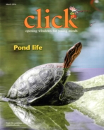 Click March 01, 2016 Issue Cover