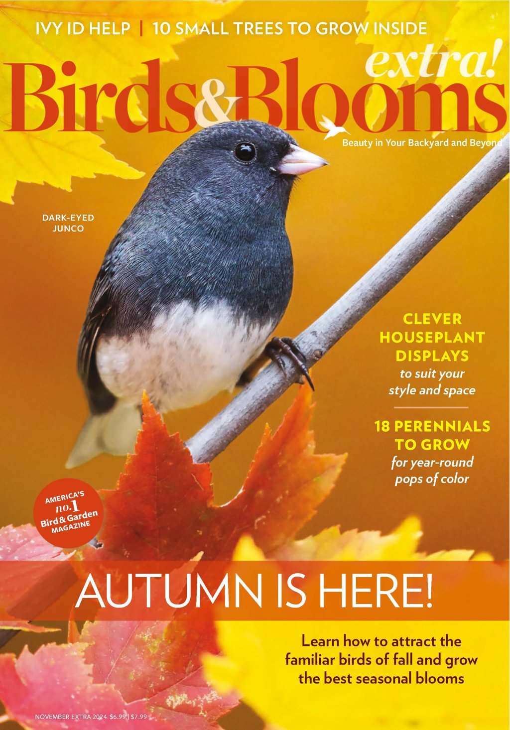 Birds-and-Blooms-Extra November 01, 2024 Issue Cover