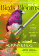 Birds-and-Blooms-Extra November 01, 2024 Issue Cover