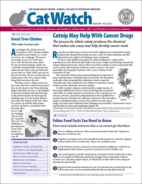 Catwatch March 01, 2019 Issue Cover