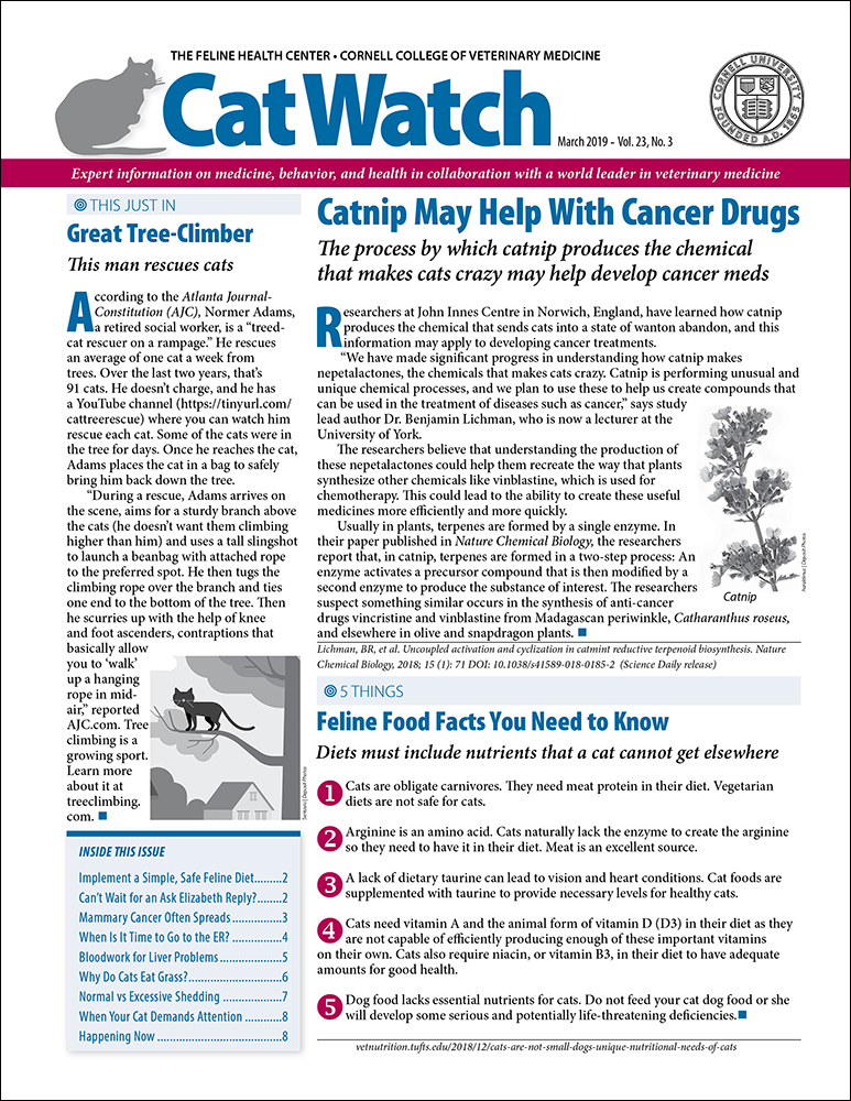 Catwatch March 01, 2019 Issue Cover