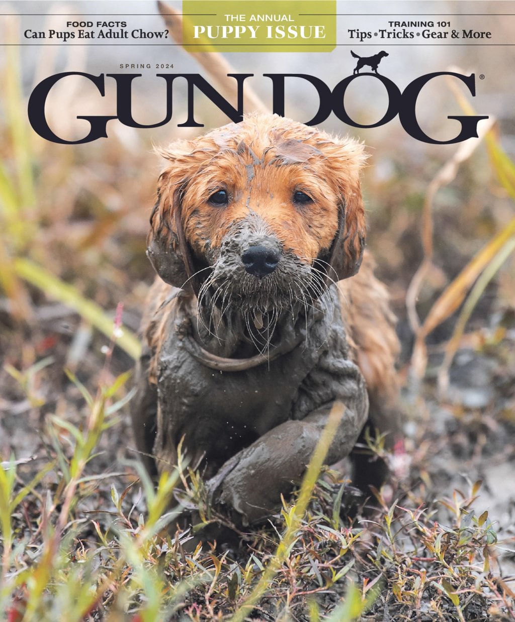 Gun-Dog March 01, 2024 Issue Cover