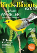 Birds-and-Blooms-Extra July 01, 2017 Issue Cover