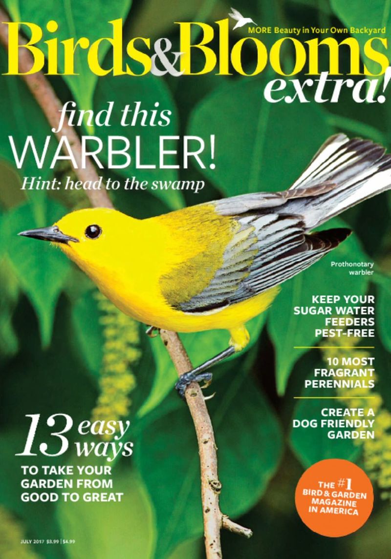 Birds-and-Blooms-Extra July 01, 2017 Issue Cover