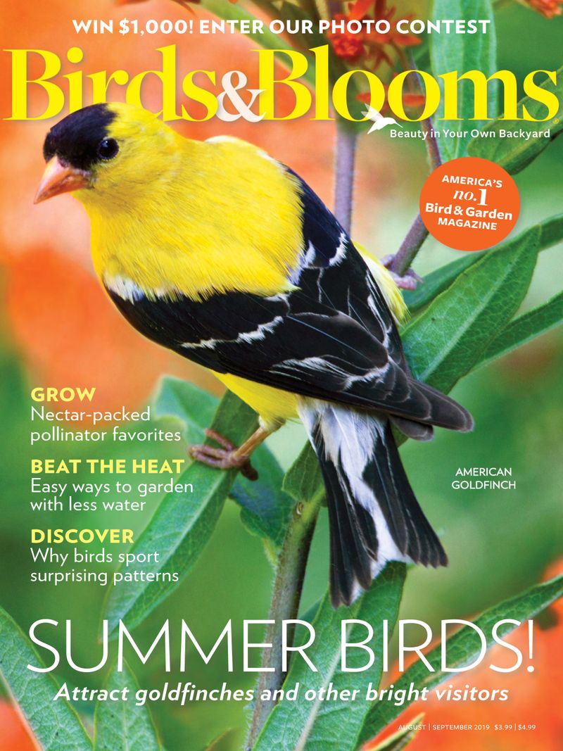 Birds-and-Blooms August 01, 2019 Issue Cover