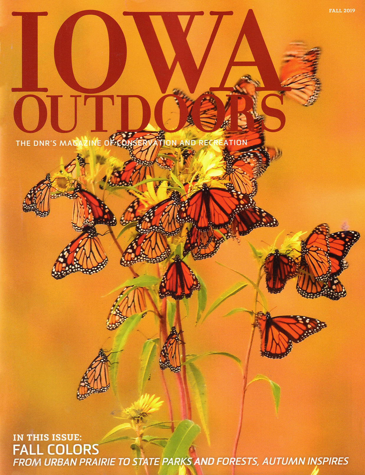 Iowa-Outdoors September 01, 2019 Issue Cover