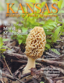 Kansas-Wildlife-and-Parks May 01, 2023 Issue Cover